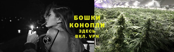 стаф Каменногорск