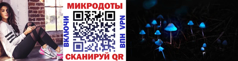 Галлюциногенные грибы мухоморы  закладки  Костомукша 